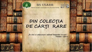 Foto expoziţie on-line: 
