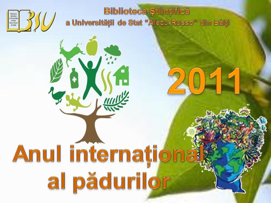 Foto expoziţie on-line: 2011 - Anul Internaiţonal al pădurilor